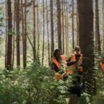 internal linking for visibility