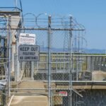 link development for authority