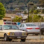 seo link building success