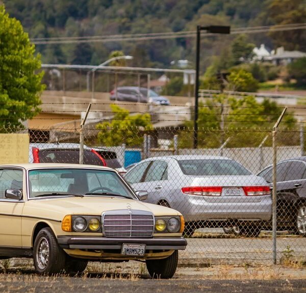 seo link building success