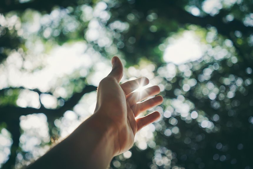 optimize your digital reach growth platform